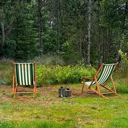 On Nature Plot Near Skagen * Ålbæk