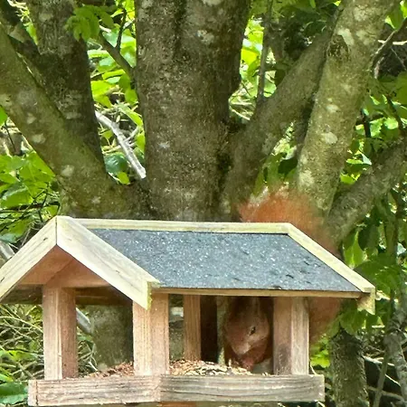 On Nature Plot Near Skagen Casa vacanze *
