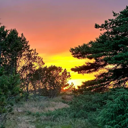 On Nature Plot Near Skagen Casa vacanze *