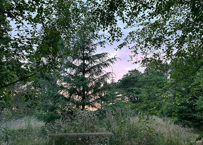 Semesterbostad On Nature Plot Near Skagen *