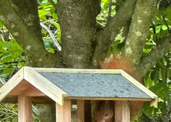 On Nature Plot Near Skagen Semesterbostad *